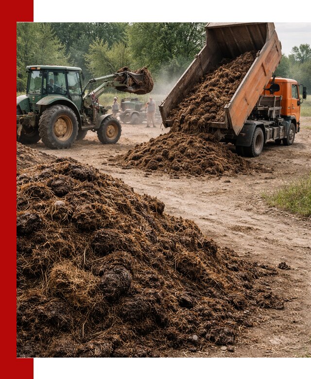 Доставка навоза самосвалами в Орске для сельхозпотребностей