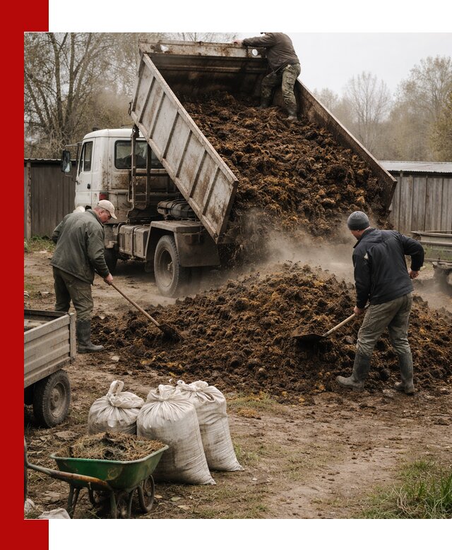 Доставка коровьего навоза самосвалом в Орске